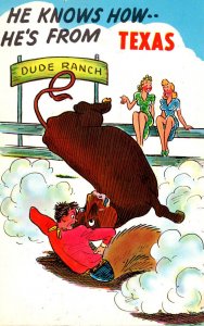 Texas Humour Cowboy Wrestling Bull