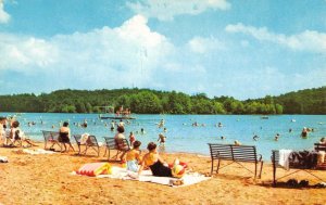 Lincoln Park & Beach LINCOLN CITY, INDIANA Spencer County 1950s Vintage Postcard