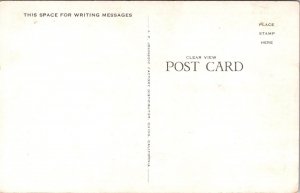 Shasta Union High School, Redding CA Vintage Postcard S65