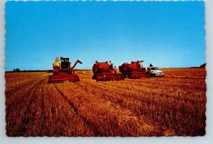 Harvest Time In Saskatchewan, Chrome Postcard #1