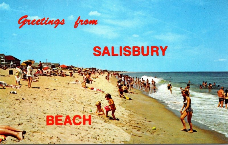 Massachusetts Greetings Rrom Salisbury Beach Sunbathers