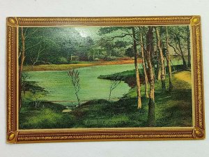 Vintage Postcard 1910's A Tree Lined By the River or Lake