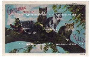 Greetings from the Catskills, Catskill Cats