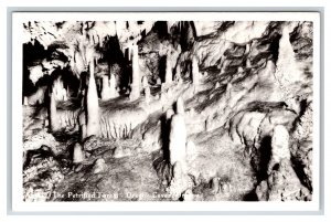 RPPC Petrified Gardens Oregon Caves Oregon UNP Sawyer's Postcard V2