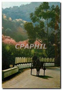 Postcard Modern Algarve Martin Winter