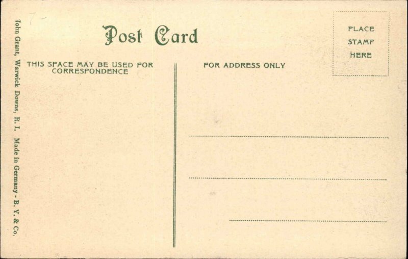 Warwick Downs Rhode Island RI Cottages c1910 Postcard 