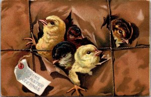 VINTAGE POSTCARD LOVING EASTER GREETING CHICKS THRU WRAPPING PAPER BROOKLYN 1909