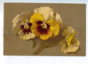 234940 PANSY Flowers by C. KLEIN Vintage Meissner & Buch PC