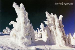 Sun Peaks Resort BC British Columbia Snow Trees UNUSED Postcard D94
