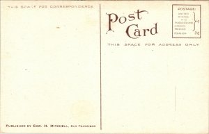 2393 Belleflower Apple Postcard, Edward H Mitchell 