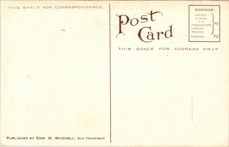 2393 Belleflower Apple Postcard, Edward H Mitchell 