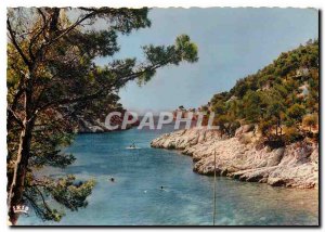 Modern Postcard Cassis Sea B R Calanque of Port Pin