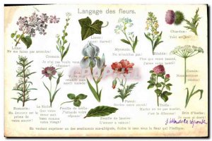 Old Postcard Fantasy flower language