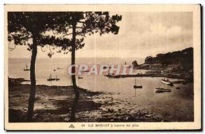 Old Postcard Island Brehat through the pines