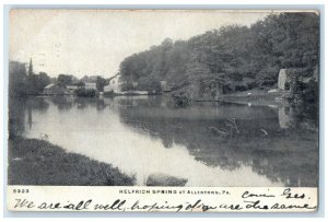 1906 View Of Helfrich Spring At Allentown Pennsylvania PA Antique Postcard