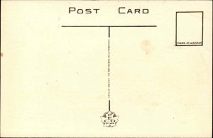 Fredericton New Brunswick Vintage Postcard