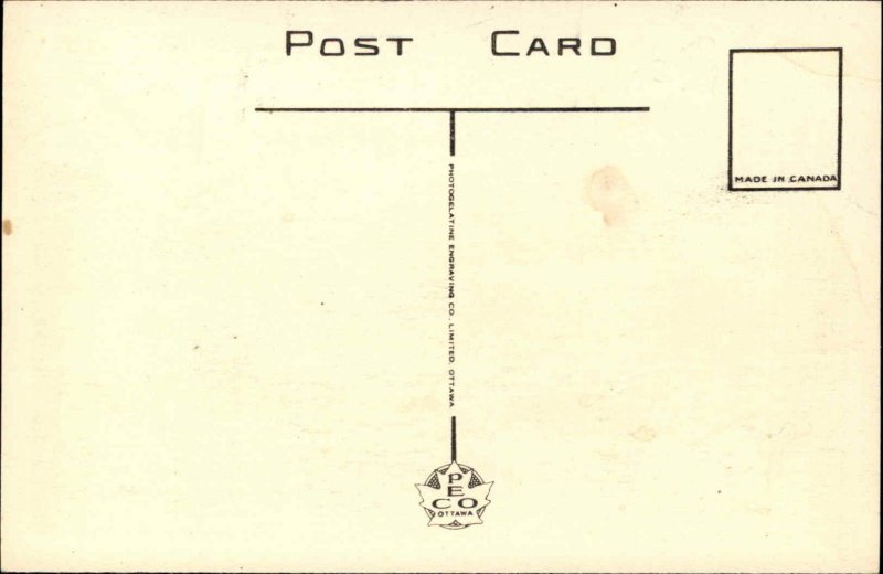 Fredericton New Brunswick Vintage Postcard