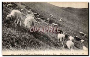 Old Postcard Le Mont Dore A flock of sheep at Sancy Flock of sheep at the Sancy