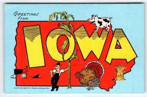 Greetings From Iowa Postcard Map Farmer Pig Tractor Turkey Haystack Linen Kropp