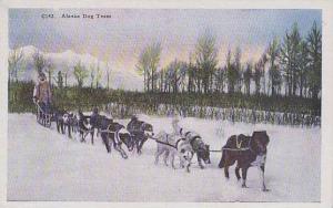Alaska Alaska Dog Team