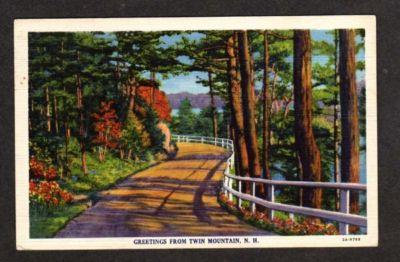 NH Greetings from TWIN MOUNTAIN NEW HAMPSHIRE Postcard