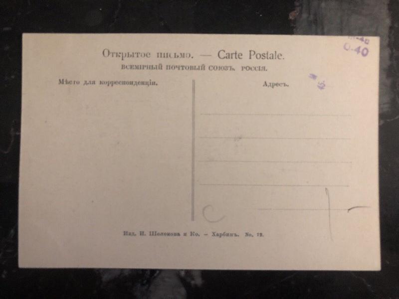 Mint Harbin China RUSSIA RPPC Postcard Public Garden