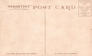 Vintage Postcard Petrified Tree Yellowstone National Park Detroit Publishing Co.