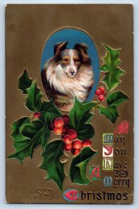 1908 Christmas Collie Dog And Holly Berries Embossed Bath New York NY Postcard