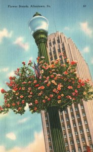 Vintage Postcard Flowers Stands Decoration Ornament Allentown Pennsylvania PA
