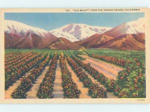 Pre-Chrome FARM SCENE Mount Baldy - Ontario & Fontana & San Bernardino CA AG2457