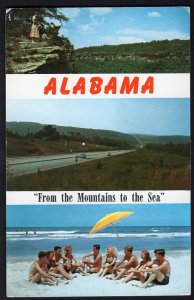 Alabama MultiView Greetings from Little River Canyon U.S. 31 Gulf Coast - Chrome