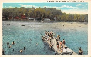 Saylor's Lake Pennsylvania Bathing Field & Cottages, White Border PC U5442