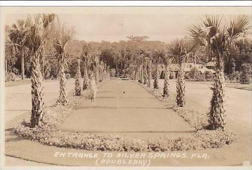 Florida Silver Springs Entrance Real Photo RPPC