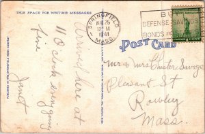 Rose Garden Forest Park Springfield Massachusetts MA Postcard