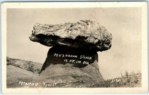 c1930s Petrified Forest, AZ RPPC Mushroom Stump Real Photo Postcard Tree Vtg A48