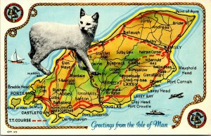 Vtg Isle of Man Map Towns Cities Cat United Kingdom UK Raphael Tuck Postcard