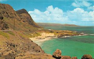 OAHU, HI Hawaii    SEA LIFE PARK~Makapuu Point    c1950's Chrome Postcard