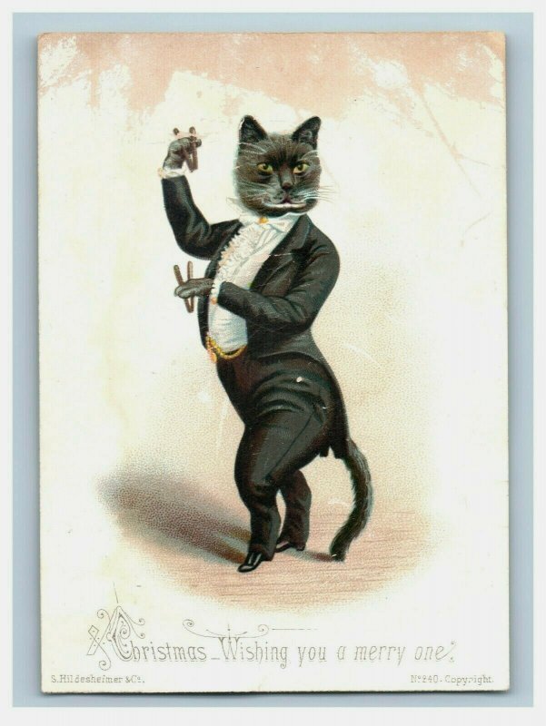 1880s Christmas Anthropomorphic Cat Dancing Castanets Fab P229