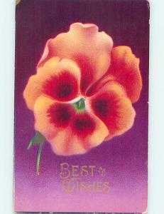 Divided-Back BEAUTIFUL ORANGE FLOWERS - BEST WISHES o8927