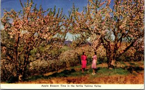 Vtg Apple Blossom Time in Yakima Valley Washington WA Postcard