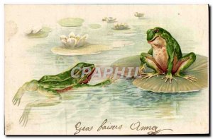 Postcard Ancient Frog Toad