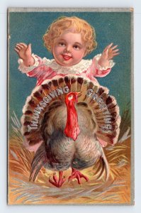 Thanksgiving Greetings Blonde Baby Turkey Embossed DB Postcard M15