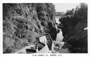 J46/ St George New Brunswick Canada RPPC Postcard c1950s Fish Ladder 361