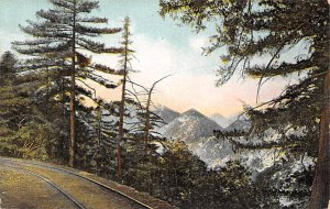 Scene from the Mt. Lowe R. R. Mount Lowe California  