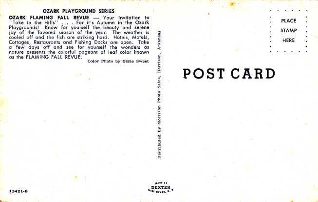 Fall Beauty in the Ozarks - Ready for the Hunt - Arkansas