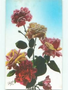 tinted rppc c1910 BEAUTIFUL FLOWERS AC9063