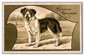 Postcard KIndest Regards Dog Artist Signed Card 