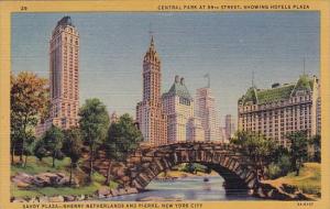 Central Park At 59th Street Showing Hotels Plaza Central Park New York City N...