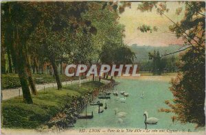 Old Postcard LYON - Park Golden t�te - Corner of Swans