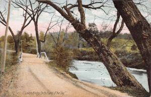 LAND OF THE SKY NORTH CAROLINA LOVERS BRIDGE POSTCARD c1910s